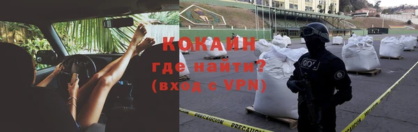 твердый Арсеньев