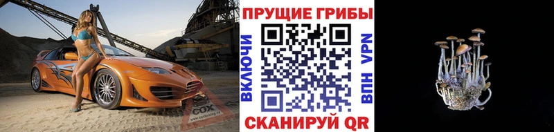 где найти Нарткала ОМГ ОМГ ONION Галлюциногенные грибы Psilocybe