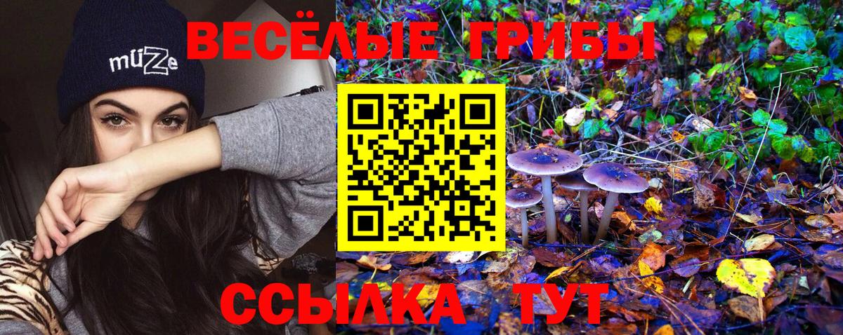 Галлюциногенные грибы прущие грибы Нарткала